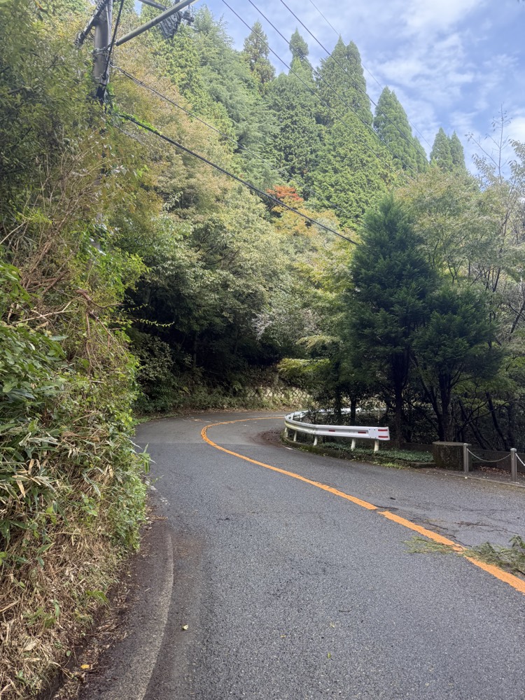 六甲山ハイキングのアルバム写真 4枚目