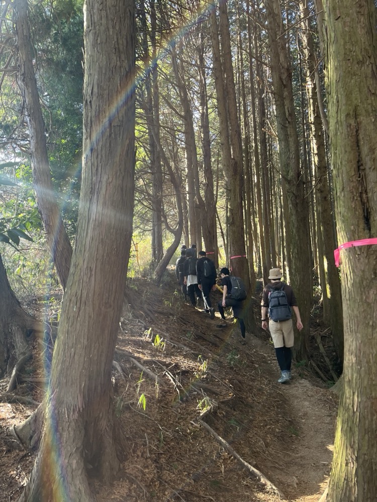 フィールドワーク in 大和葛城山（奈良県・大阪府）のアルバム写真 2枚目